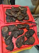 certified angus beef ribeyes cooked