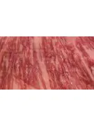 Authentic Japanese Wagyu beef 