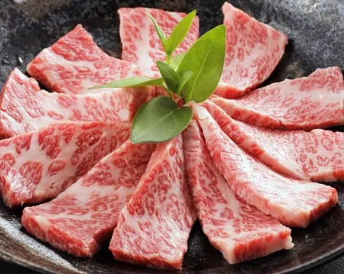 Japanese Yakiniku