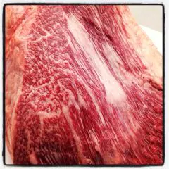 wagyu brisket